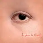دانلود آهنگ فاصله تا سقوط از هیپهاپولوژیست